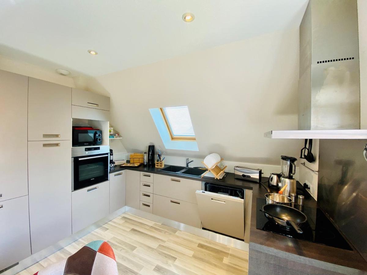 L'Envolee Alsacienne - Magnifique Appartement En Duplex Ostheim Exteriér fotografie