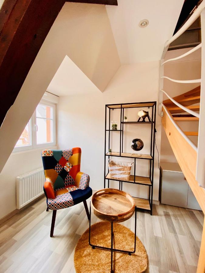 L'Envolee Alsacienne - Magnifique Appartement En Duplex Ostheim Exteriér fotografie