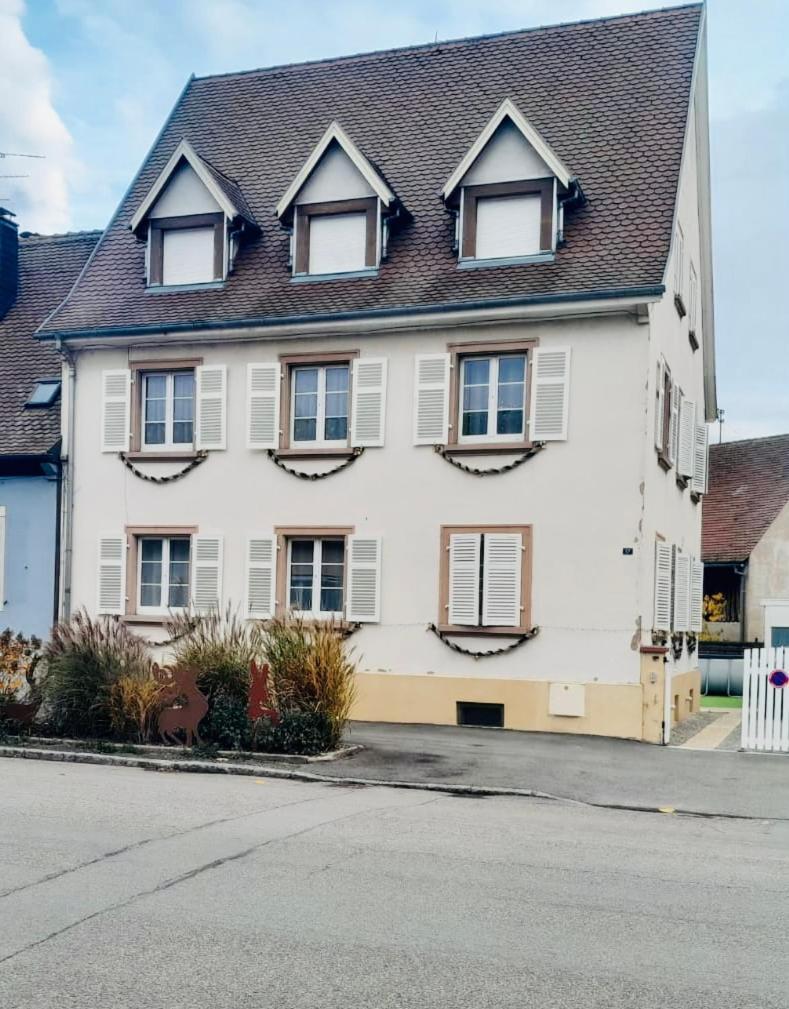 L'Envolee Alsacienne - Magnifique Appartement En Duplex Ostheim Exteriér fotografie